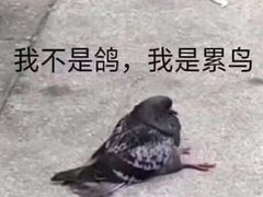 -麦当劳(望京国际商业中心店)