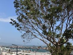 -蓝湾碧波·老字号·疍家非遗海上餐厅