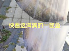 -张氏鱼庄