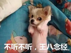 -神仙雪浓汤(明洞店)