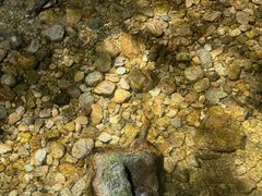 -牛背梁国家森林公园