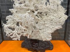 -游龙石文化科普馆