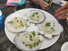 -蚝专家