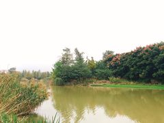 -白鹭湾湿地公园