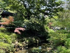 -上海醉白池公园