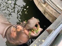 -无锡动物园·太湖欢乐园