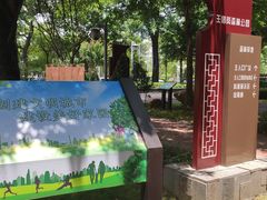 -王借岗森林公园