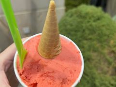 -Vola Gelato意大利手工冰淇淋(朝阳大悦城店)