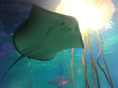 -沈阳海洋探索中心