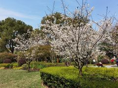 -徐家汇源景区-衡山公园