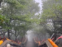 -妙峰山风景名胜区