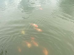 -杭州六谷生态休闲农庄有限公司