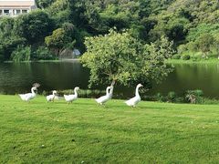 -厦门国家会计学院