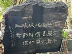 -上海佘山国家森林公园天马山园
