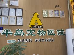 -半岛宠物医院24小时·内窥镜·牙科·碎石中心(府城大道店)