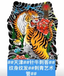 -针牛刺客·刺青纹身