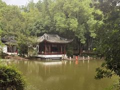 -汇龙潭