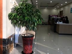 -美联众合动物医院·24h转诊中心