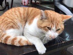 -青石桥市场北1-27号
