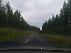 -塞罕坝国家级自然保护区