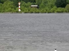 -人民防洪胜利纪念塔