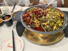 -锦尚阁烤鱼(望京新荟城店)