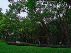 -晓港公园