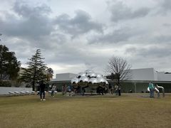-金泽21世纪美术馆