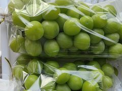 -马陆小张葡萄园农家乐