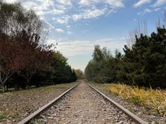 -永定河休闲森林公园