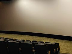 -汉阳天河电影城(王家湾店)