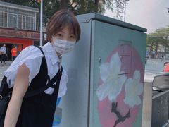 -长洲岛