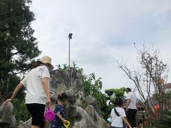 -枫香湖儿童公园