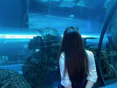 -乐从天佑城海洋馆