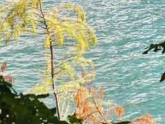 -广州市流溪河国家森林公园