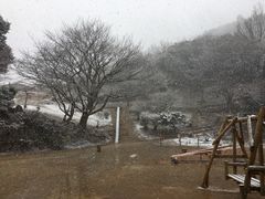 -岚山猴子公园