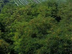 -南戴河国际娱乐中心