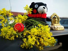 -上海浦东新区乐乡公墓