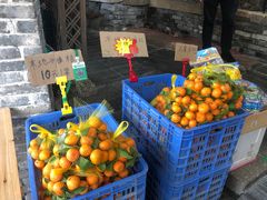 -桃姐农庄老字号(从化温泉店)