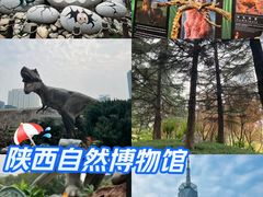 -陕西自然博物馆