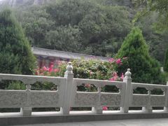 -洛阳白云山景区