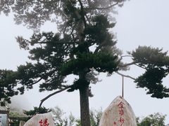-妙峰山风景名胜区