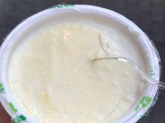 德禄酸奶-德禄酸奶(莫家街店)