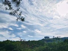 -神光山国家森林公园