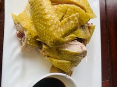 -四季春