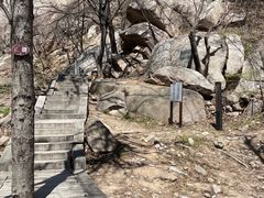 -崂山巨峰游览区