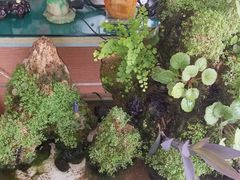 -李先生牛肉面大王(华联商厦店)