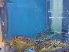 -红顶食府(滨湖九号店)