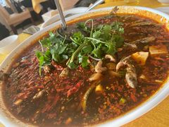 -胖大姐黄辣丁鱼庄(新津店)