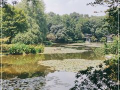 -杭州植物园